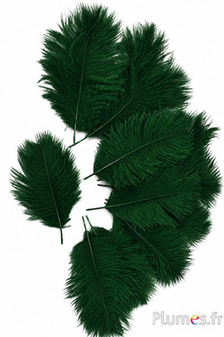 Struisvogel Bellies -8-13 cm - avocado groen